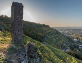 Vignobles au pied des Vosges, le pari réussi des Domaines Schlumberger