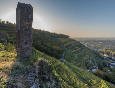 Vignobles au pied des Vosges, le pari réussi des Domaines Schlumberger