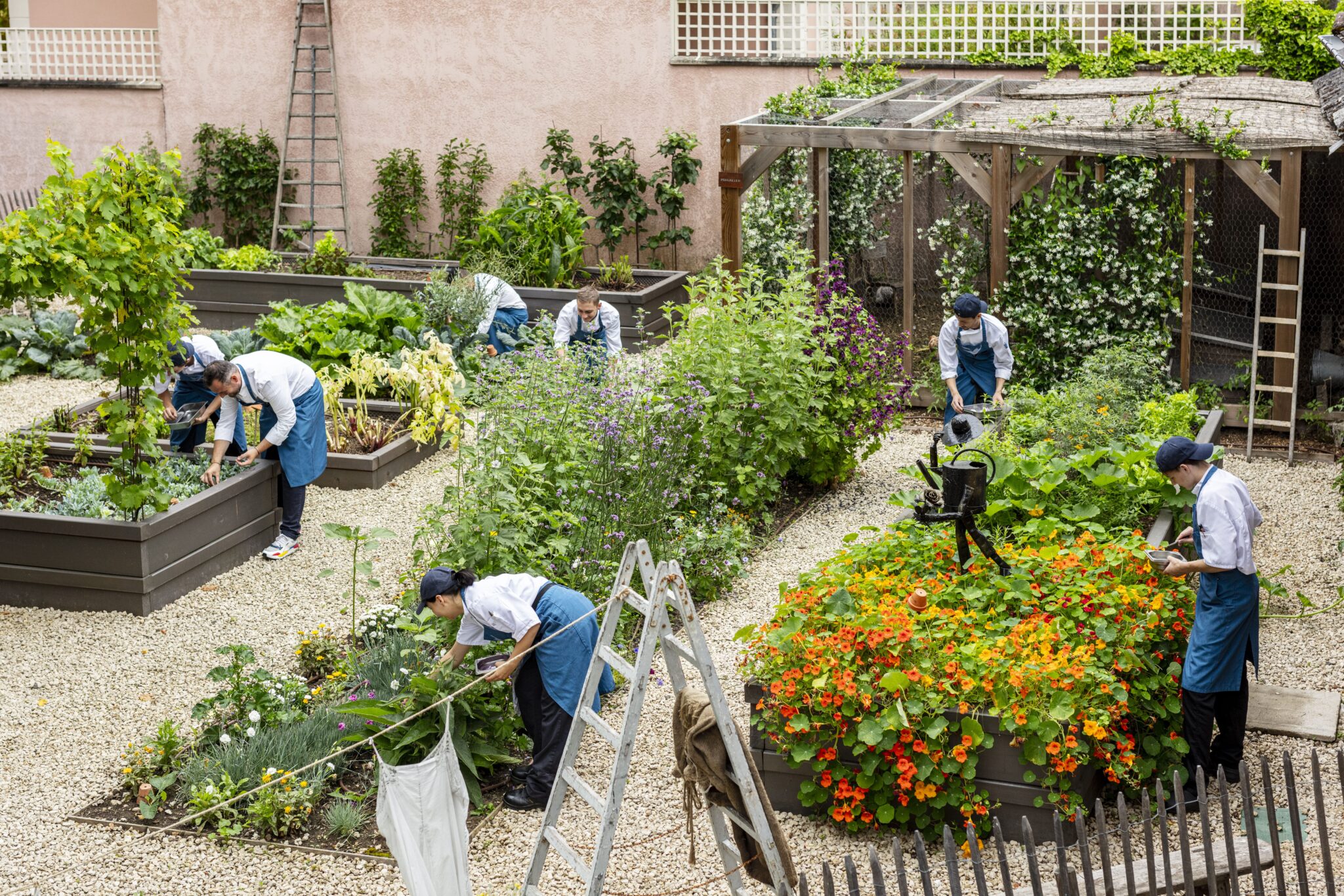 Le jardin aromatique du chef David Gallienne au restaurant © le Jardin es Plumes à Giverny
