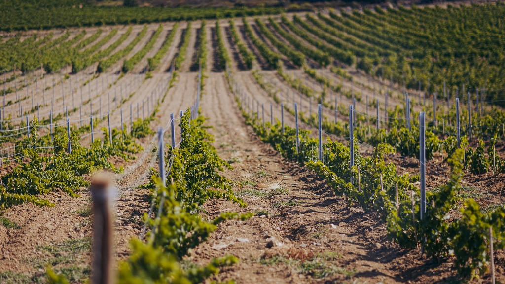 © Domaine Riberach