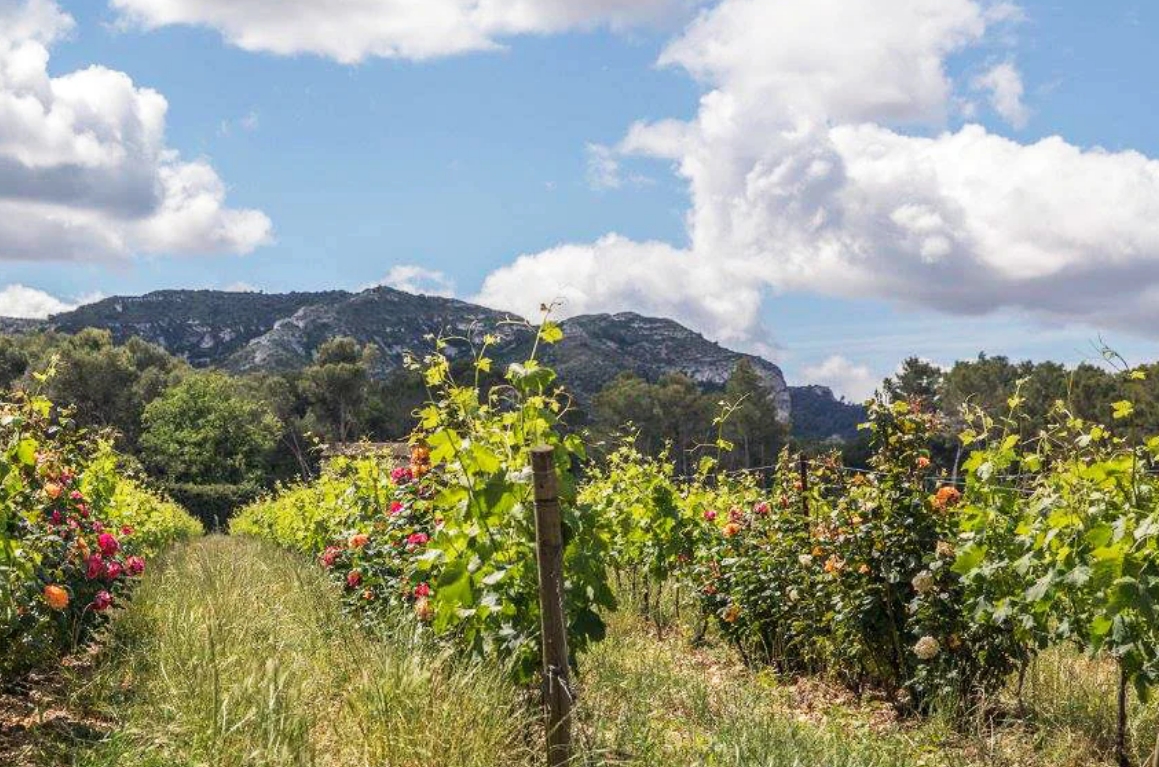 © Domaine Milan