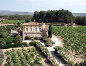 Les meilleurs rosés de Provence