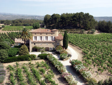 Les meilleurs rosés de Provence