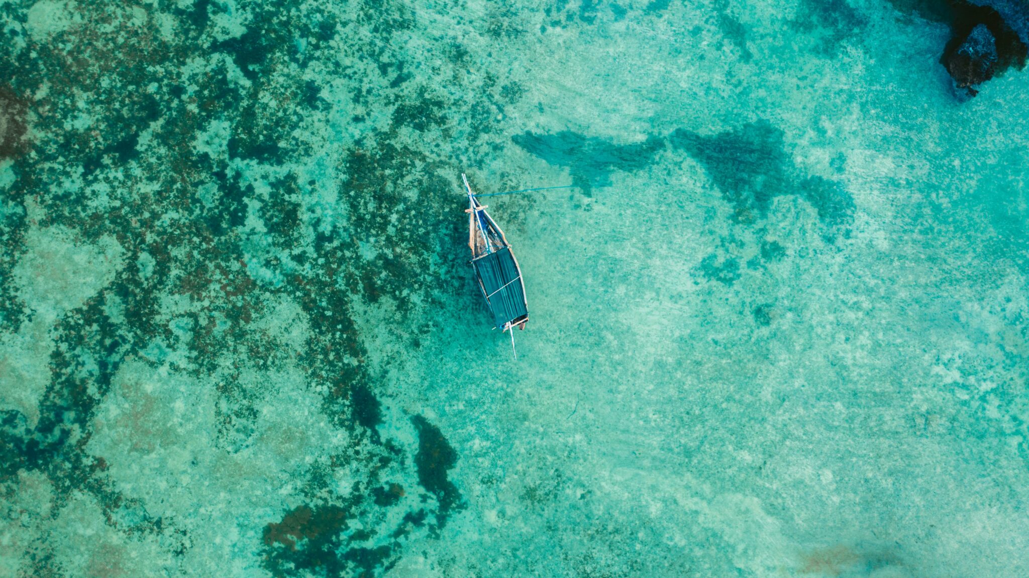 © Zanzibar