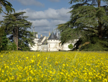 Que voir à Chaumont-sur-Loire lors du festival international d’art contemporain et de jardins ?