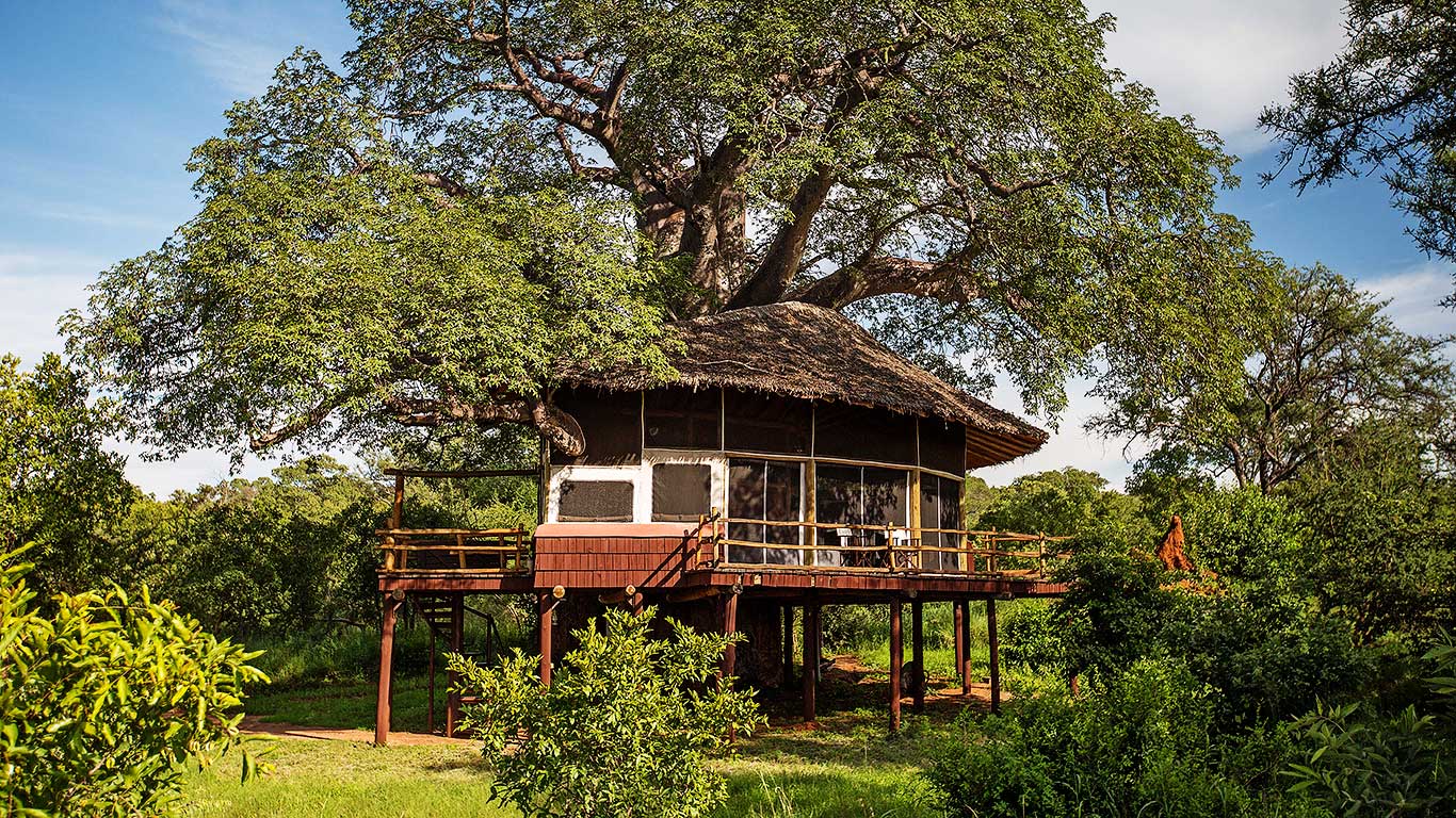 © Tarangire Treetops