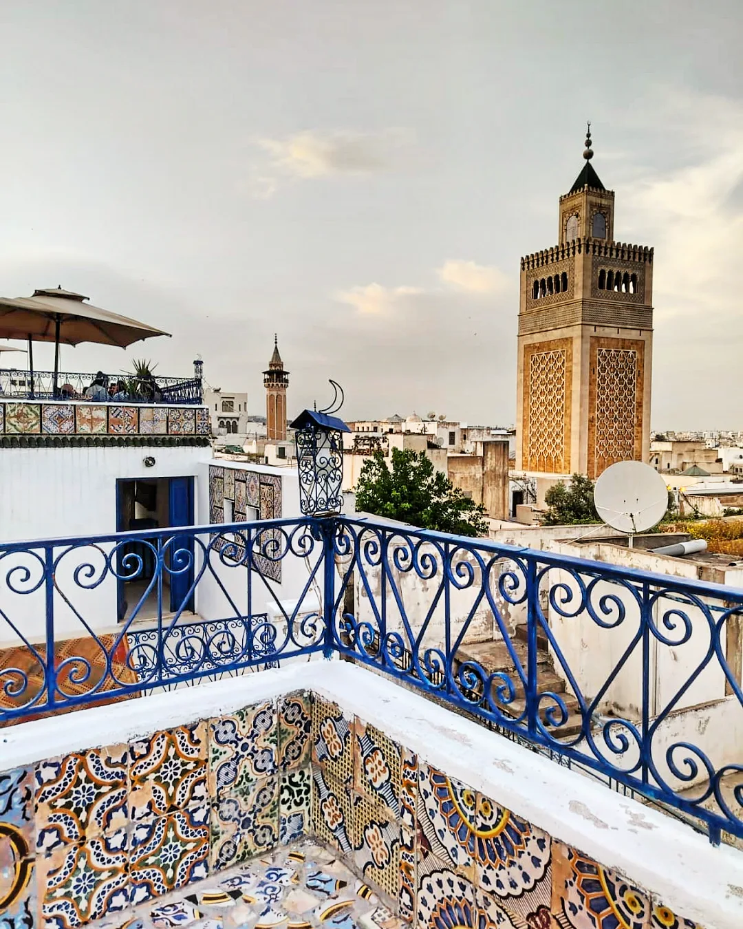 © Vue sur la Médina de Tunis