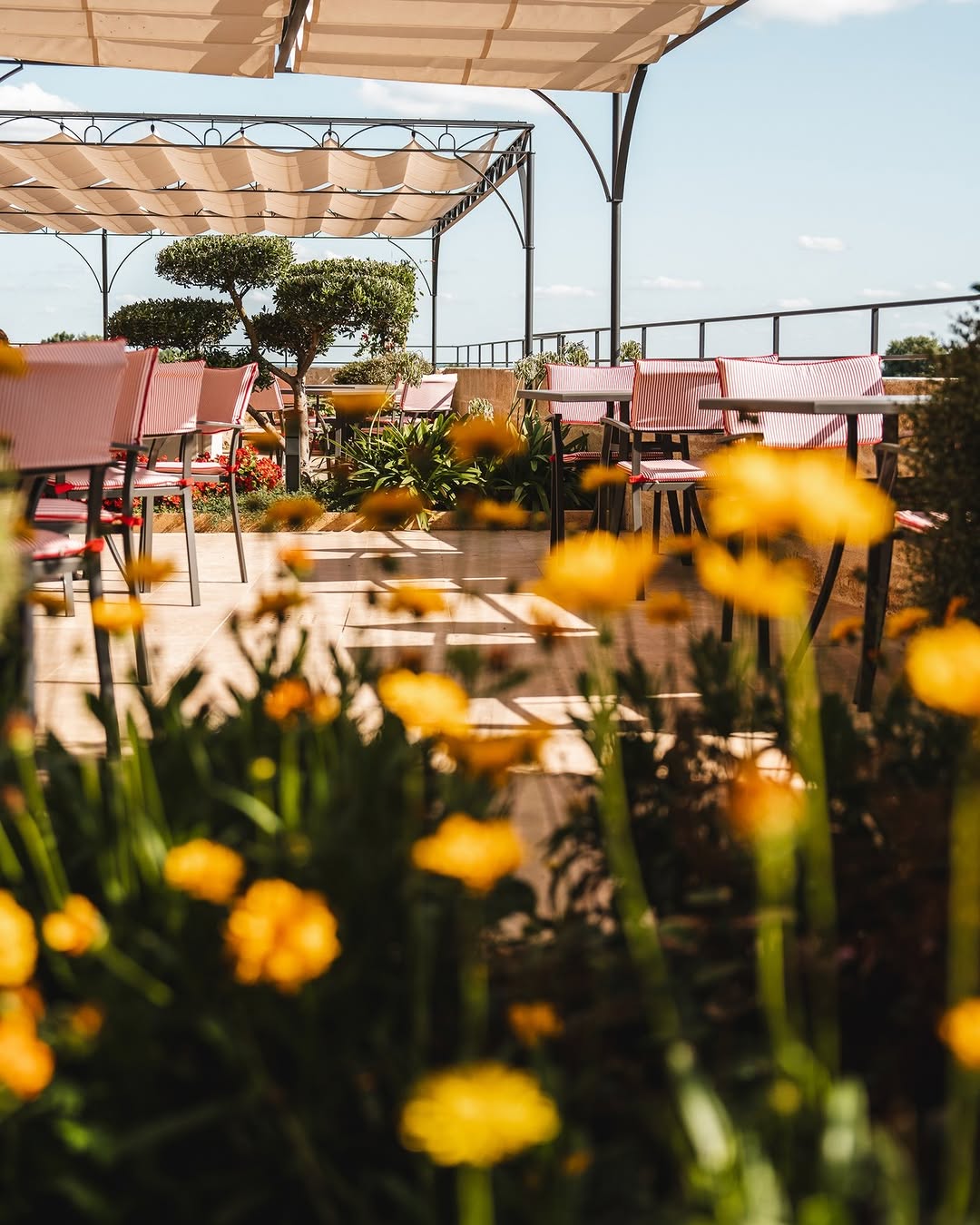 Le domaine de Pavie © _sovignon_