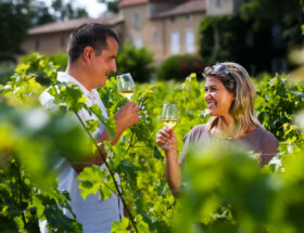 Road Trip sur la route des vins de Bordeaux en Graves et Sauternes