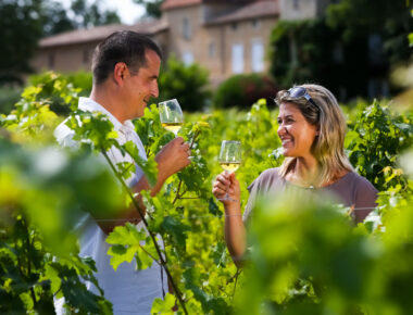 Road Trip sur la route des vins de Bordeaux en Graves et Sauternes