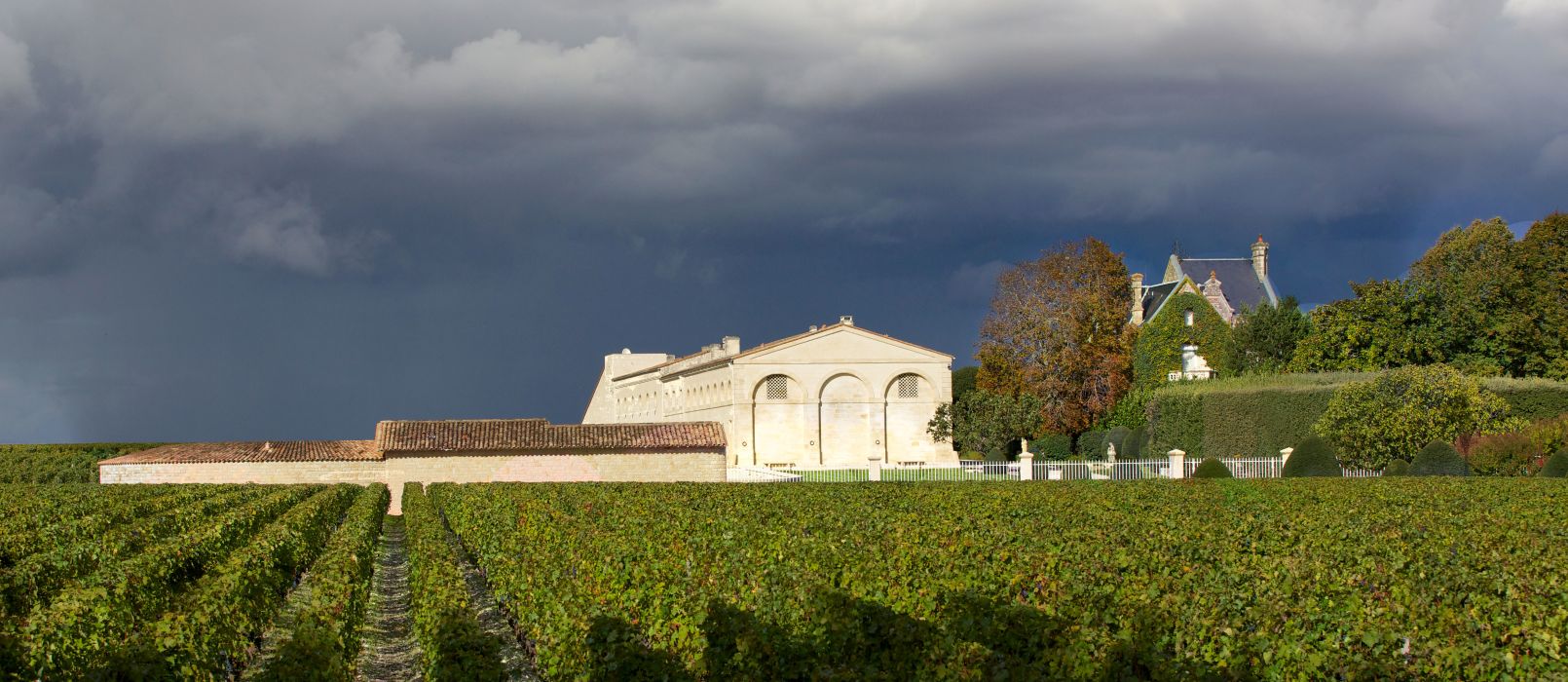 Château Mouton Rothschild - Fronton et vignes © Mathieu Anglada