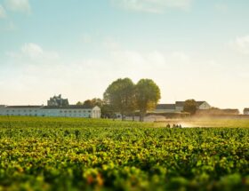Road Trip sur la route des Grands Crus du Médoc