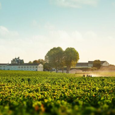 Road Trip sur la route des Grands Crus du Médoc