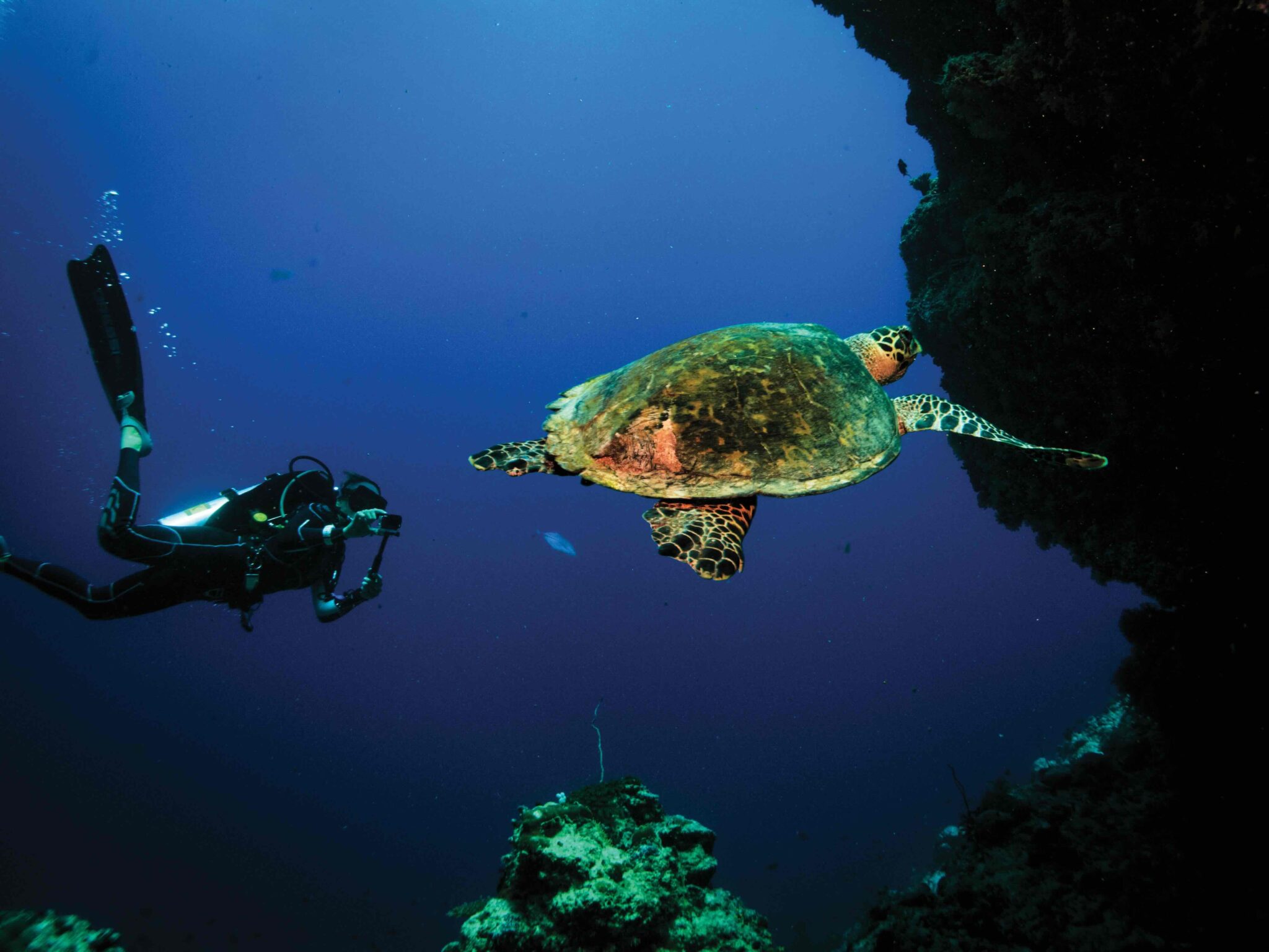 Faire l'expérience d'une plongée sous-marine à l'hôtel © Oblu Select Sangeli