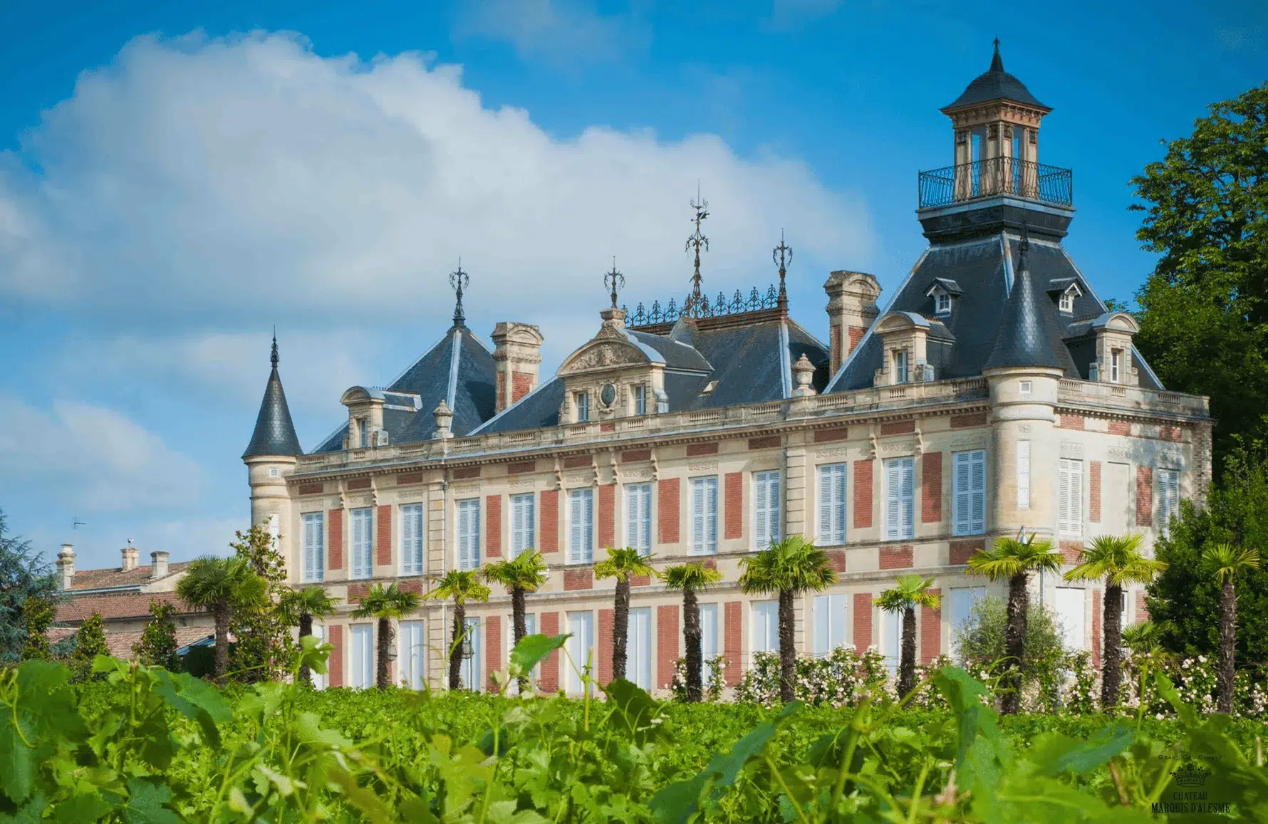 Le chai du Château Marquis d’Alesme