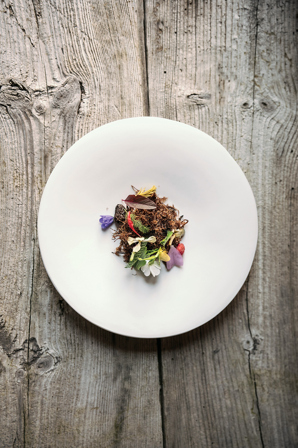 Plat de Cyril Attrazic © Cyril Attrazic