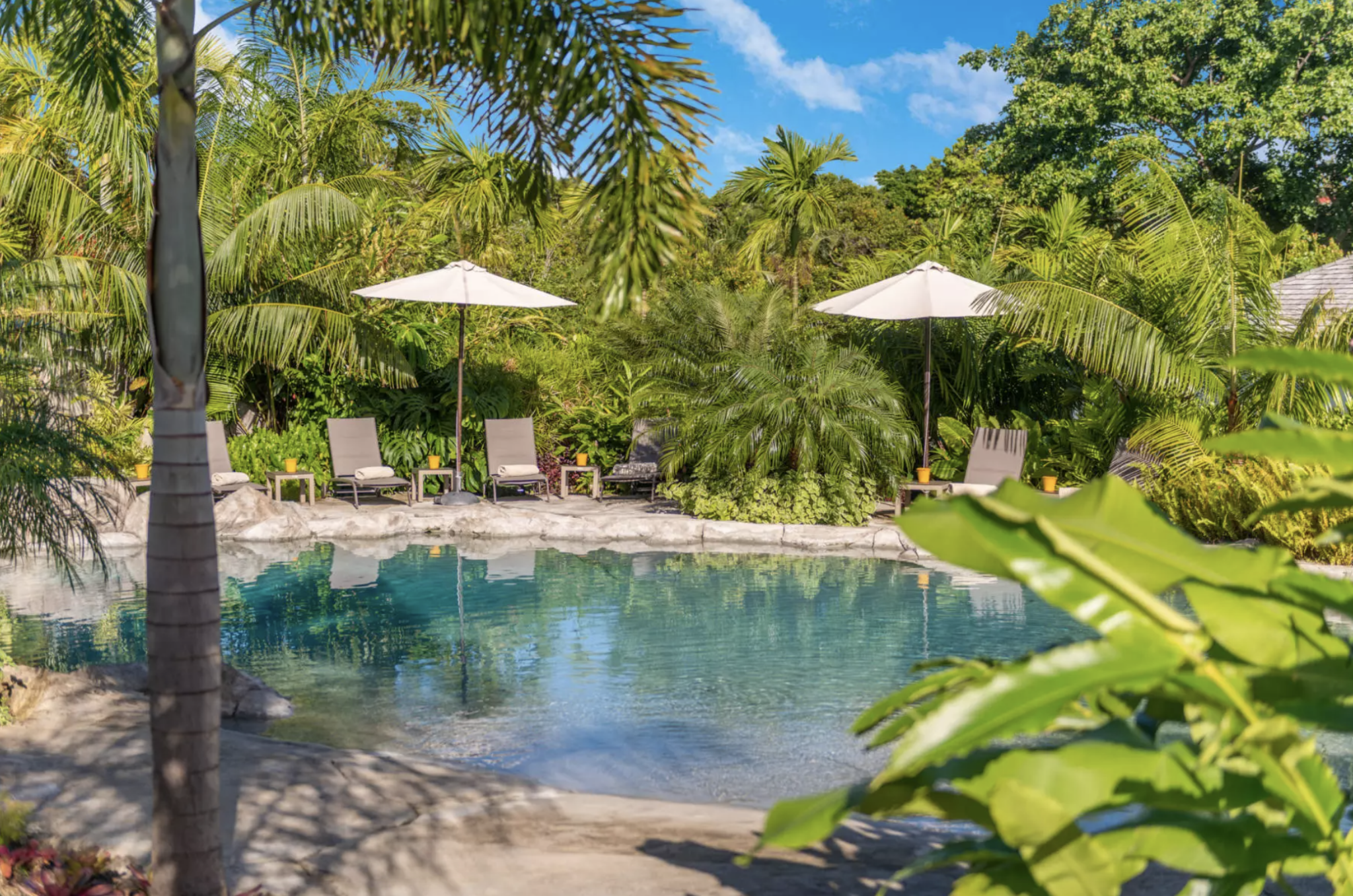 Une piscine © Habitation Saint Charles