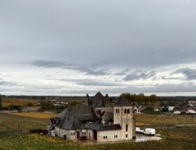 Un grand week-end art et vin avec Terra en Bourgogne