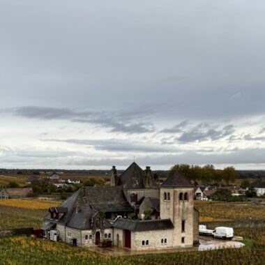 Un grand week-end art et vin avec Terra en Bourgogne