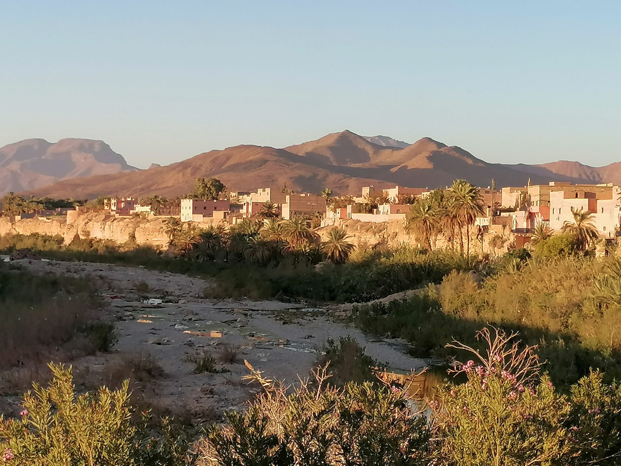 Tata de loin © Fabienne Dupuis