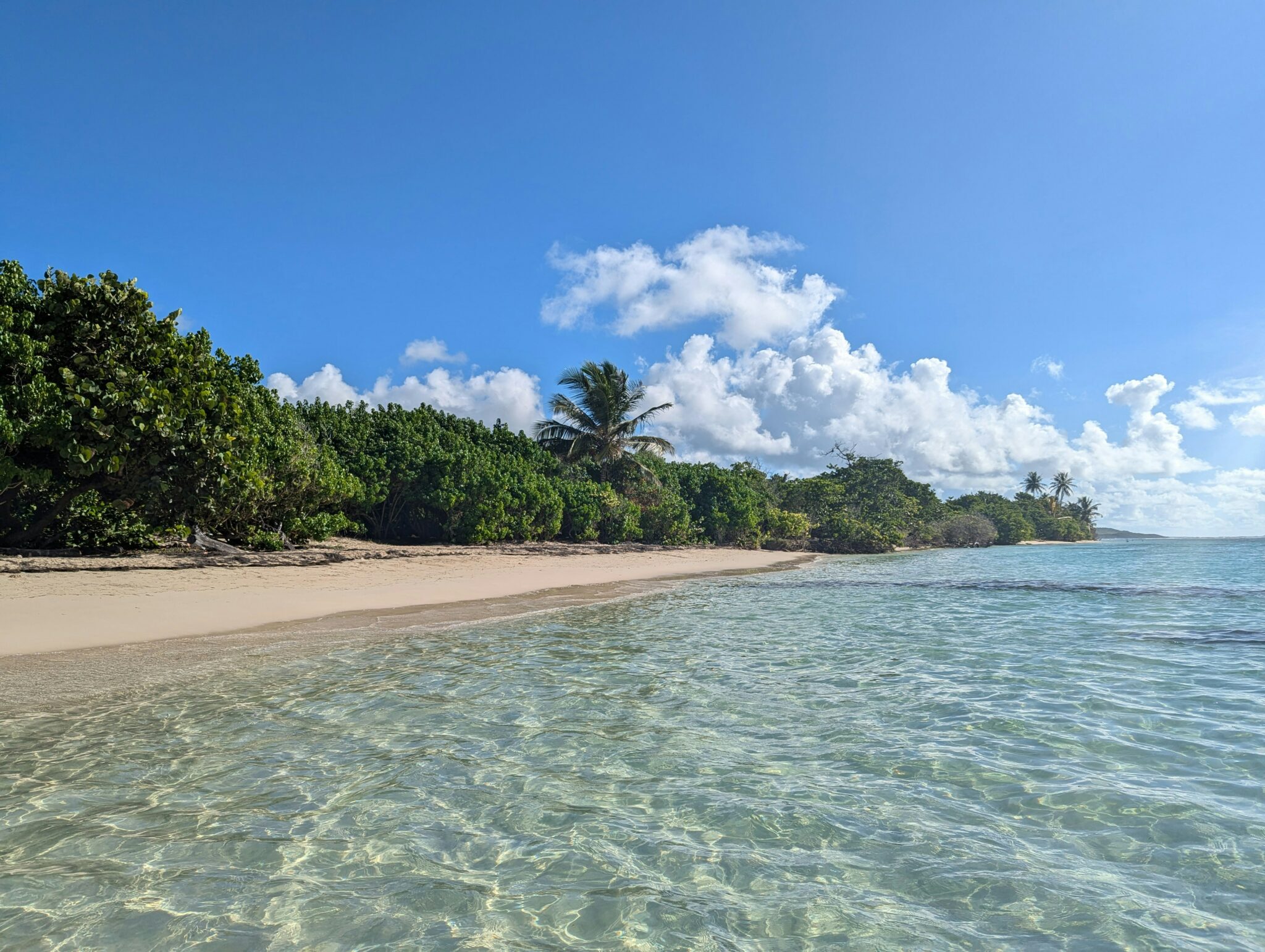 Les plus beaux hôtels de Guadeloupe