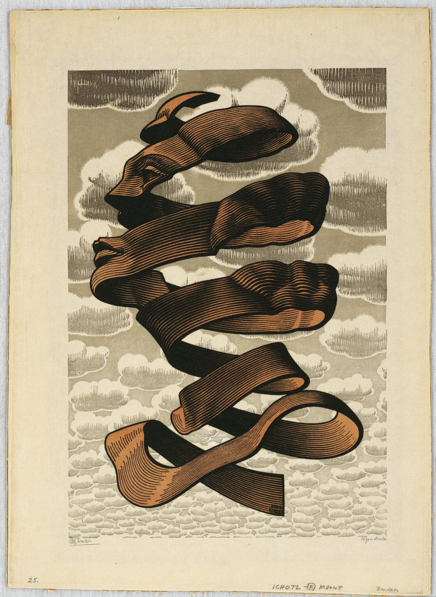 À l'exposition M.C. Escher à la Monnaie de Paris : Pelure, 1955