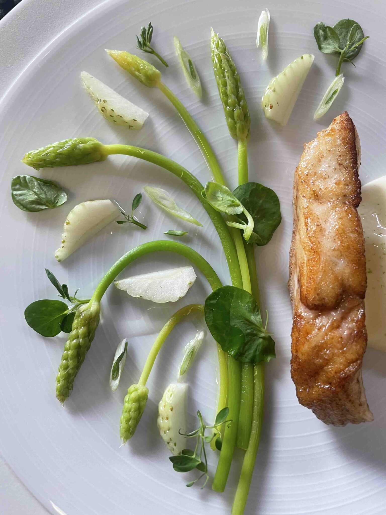 Déjeuner chez Tempo, restaurant à Rouen