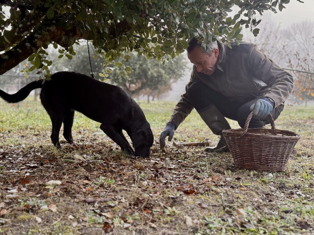 Christophe Hay et sa chienne Vicky en train de caver des truffes