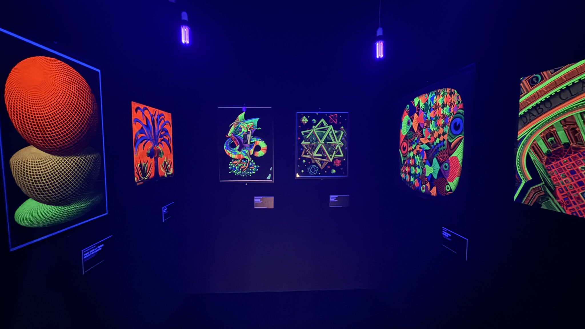 À l'exposition M.C. Escher à la Monnaie de Paris © Arthemisia