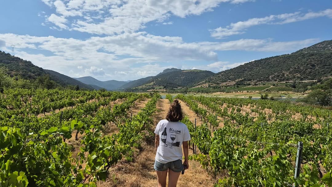 La cave à manger Naïve, à Perpignan © naivedeperpignan