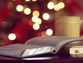 Les meilleurs livres de gastronomie à offrir