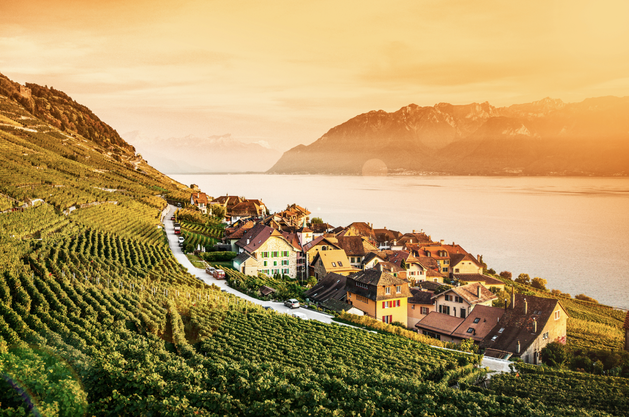 Les vignes de Lavaux © Maud Rion