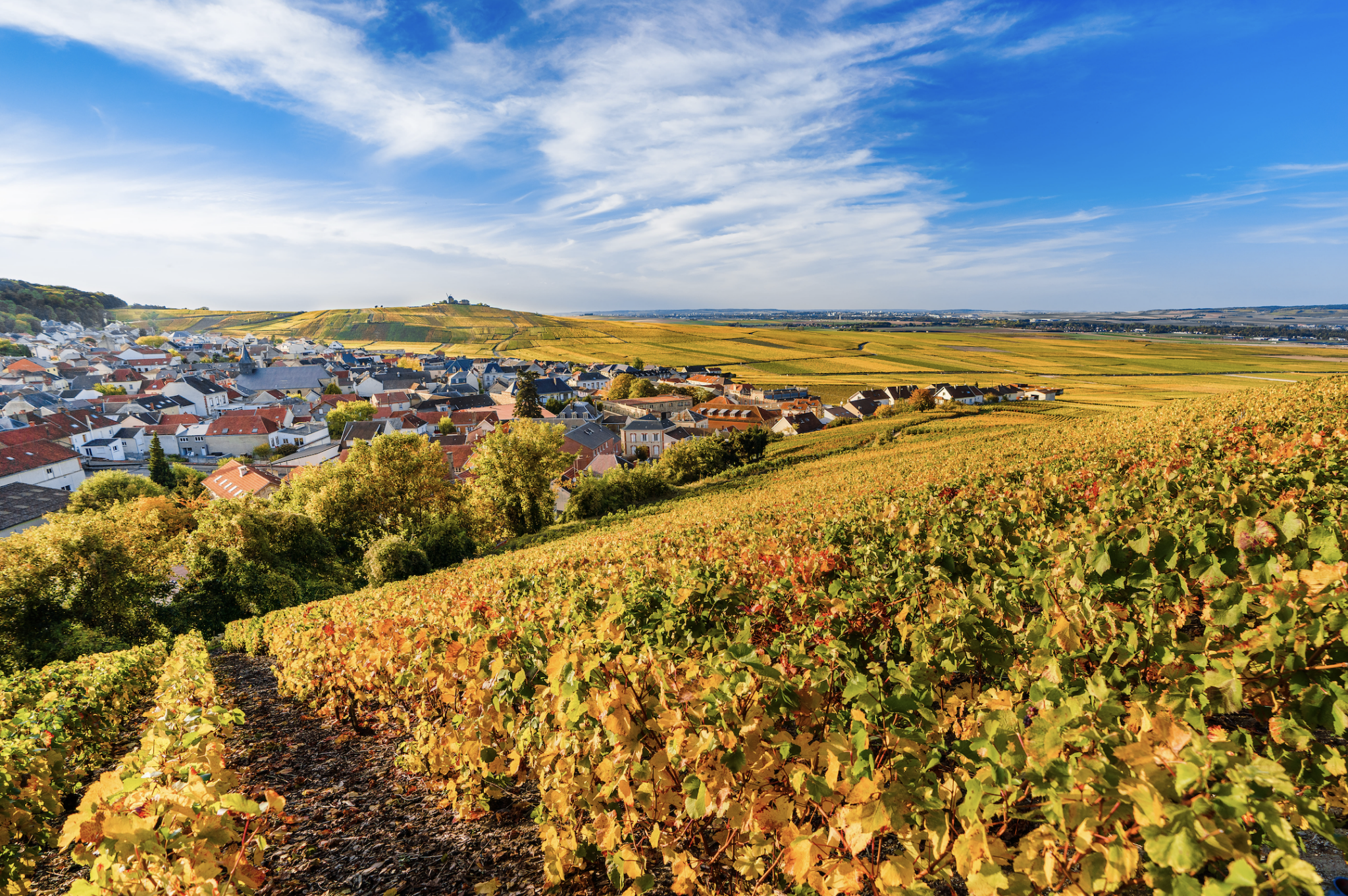Vignoble de Champagne en automne © Cyrille Beudot