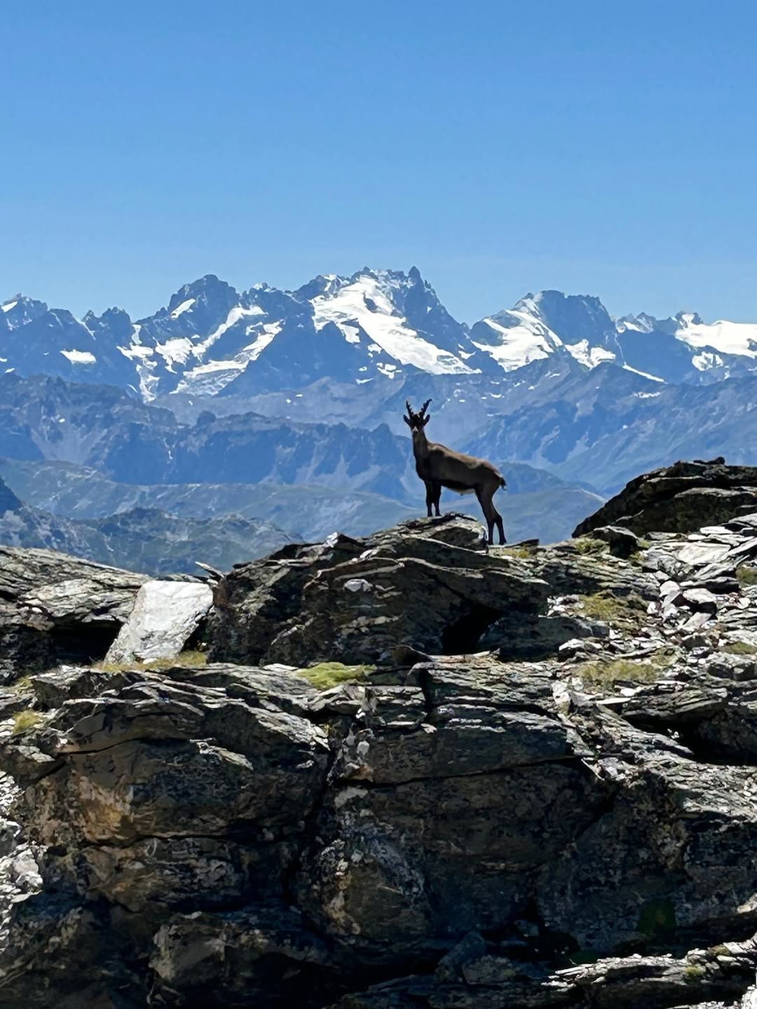 Découvrir la station Orelle au domaine Les Trois Vallées © orelle_les3vallees