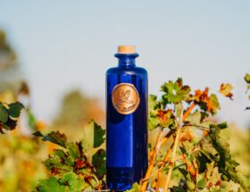 Le gin à la française : diversité, terroirs et excellence