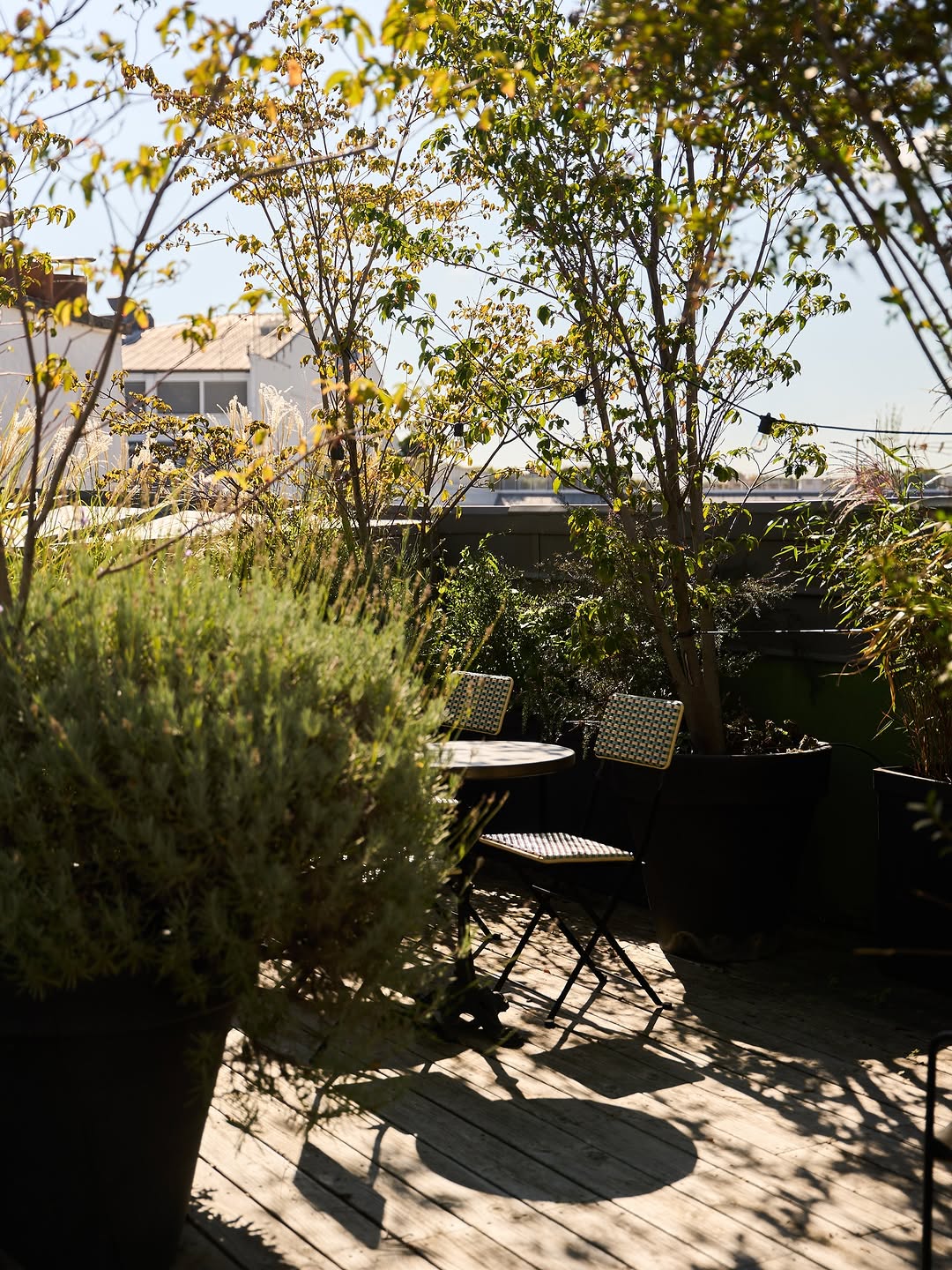 Un hôtel sur les toits à Paris 2 © L'hôtel du Sentier