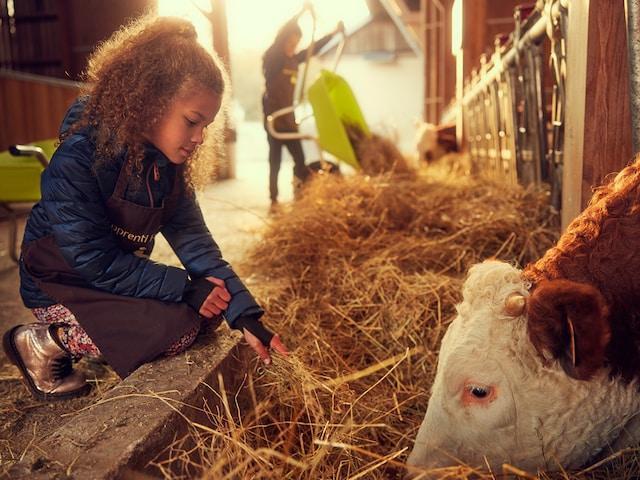 Visiter la ferme pendant un séjour en famille © Villages Nature Paris