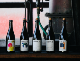 Les meilleurs cidres, trésors de nos vergers