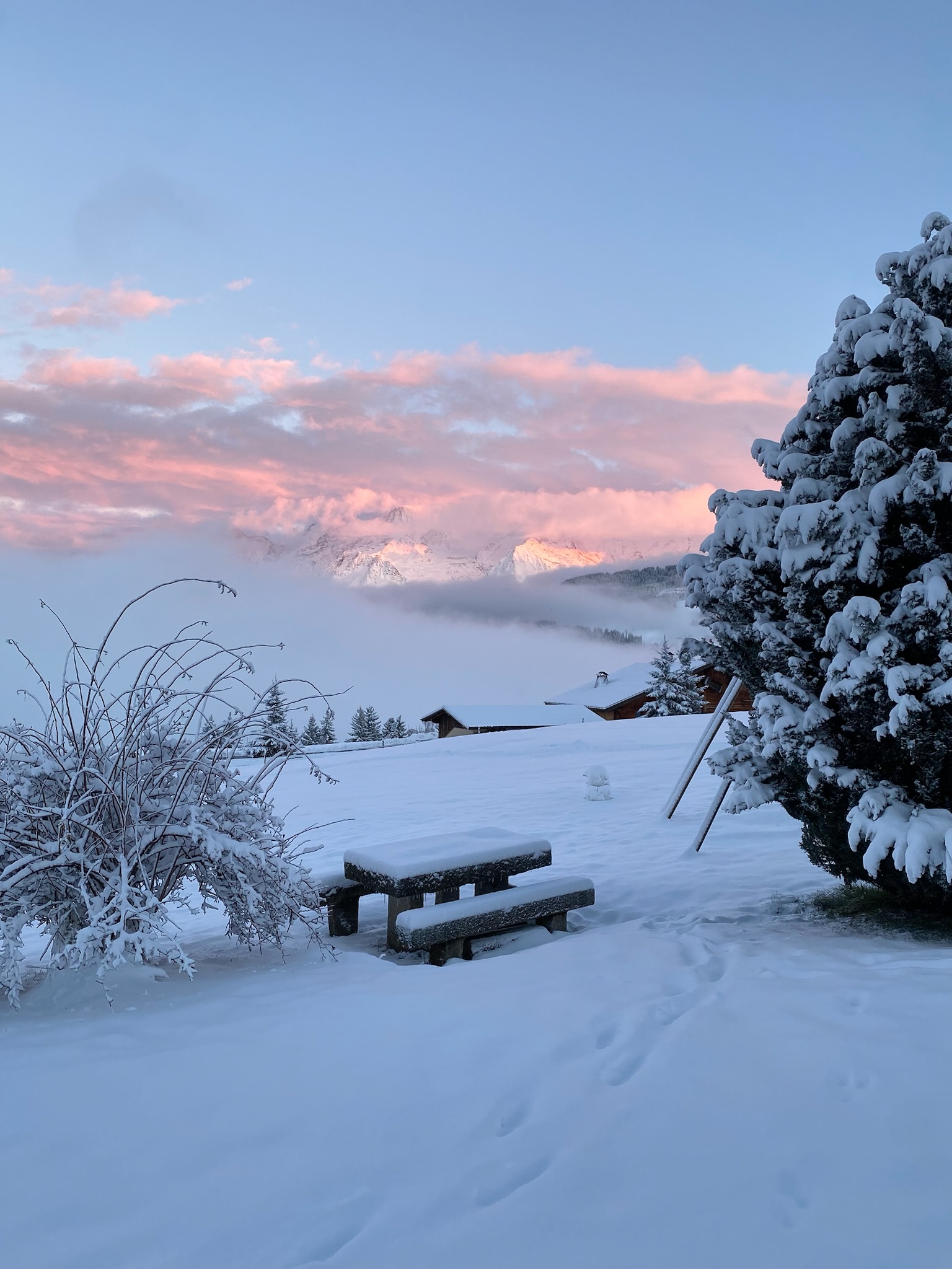 © Les Terrasses du Cuchet