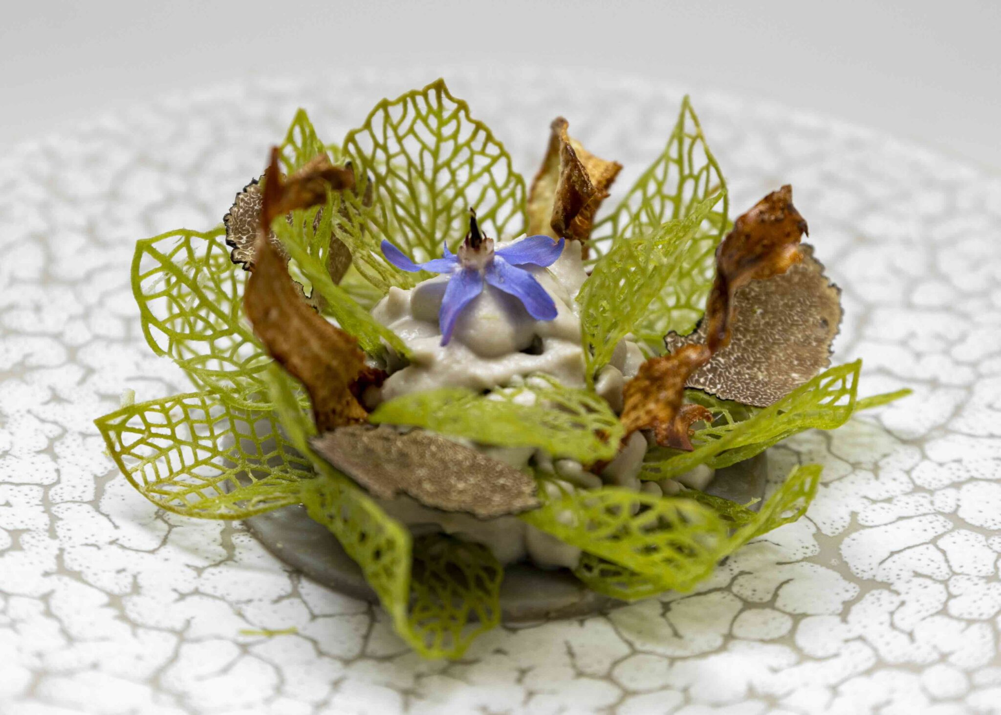 Recette d’artichaut croquant et truffe fraîche de Jean Michel Lorain et Alexandre Bondoux, chefs à la Côte Saint Jacques © JeanMichelLorain