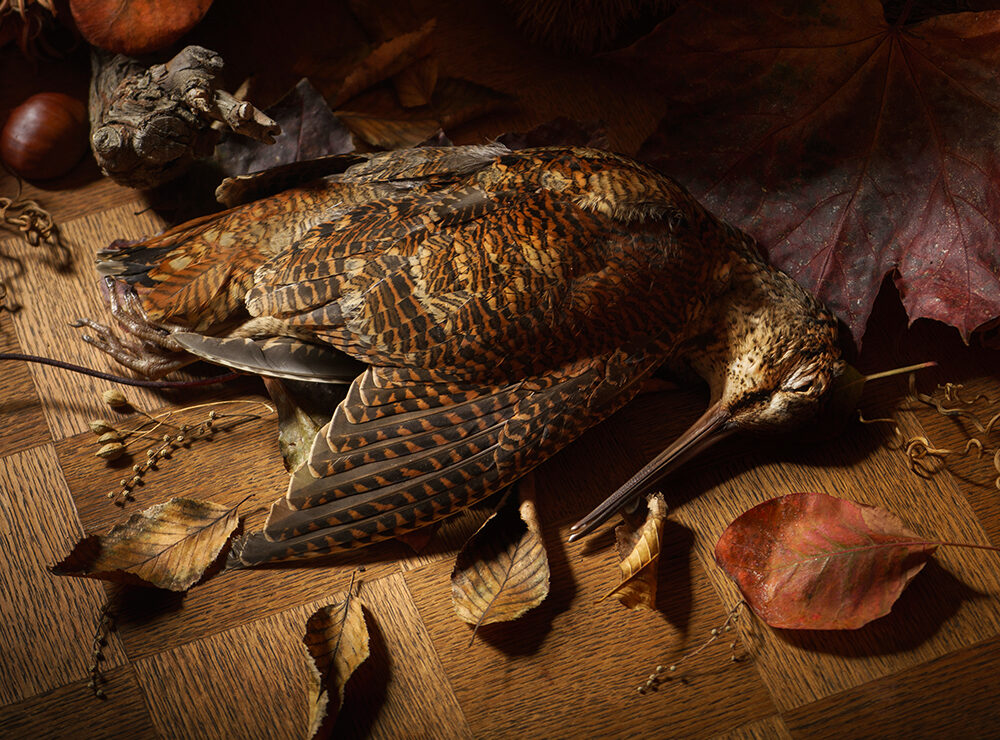 Bécasse des dieux - Renards Gourmets - La Grande Cuisine de la Chasse