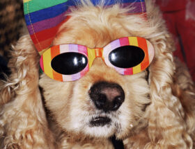 5 expositions à voir à Paris en ce moment