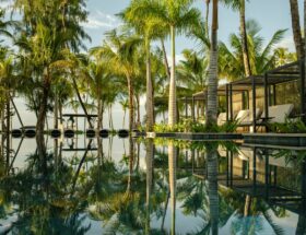 Les 5 plus beaux hôtels de Samaná : la République dominicaine côté nature