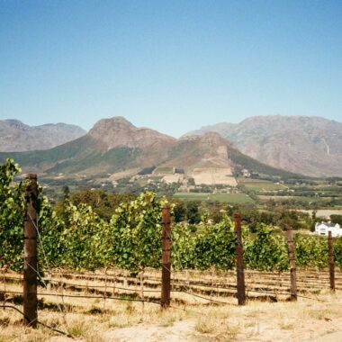 Afrique du Sud : sur les routes du vin et de la nouvelle gastronomie
