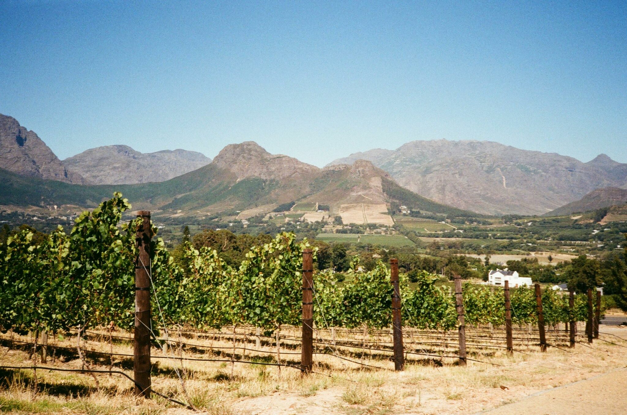La vallée de Franschhoek offre une autre facette du vignoble © Marina Zvada