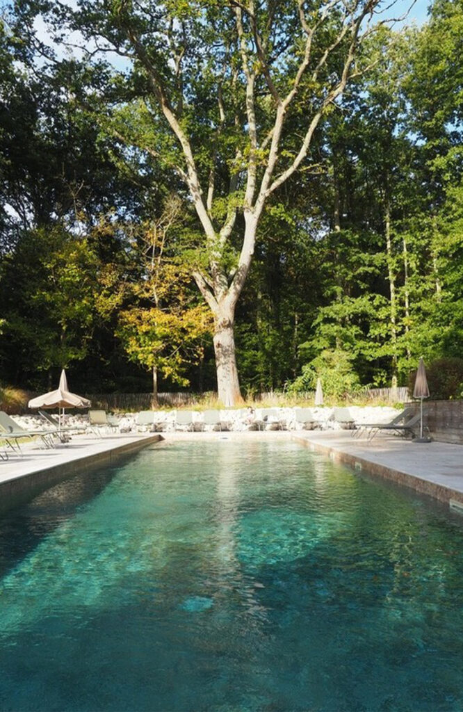 La piscine extérieure © Les Sources de Cheverny