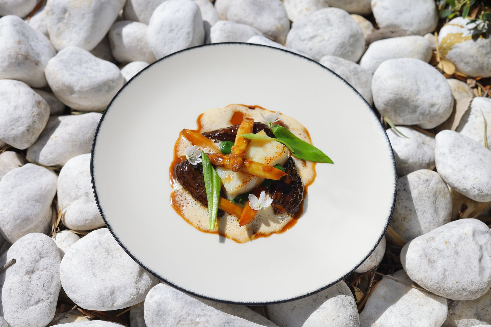 Recette du turbot maturé, asperges blanches, morilles, jus de volaille et émulsion de beurre noisette du chef Lionel Giraud © DR