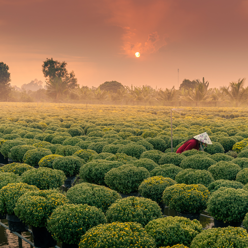 Sa Đéc Vietnam Mékong coucher de sol © CroisiEurope