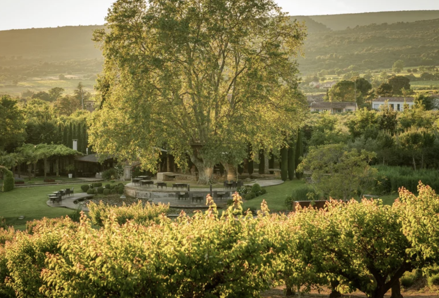 Un repas sous Le Platane © Domaine des Andéols