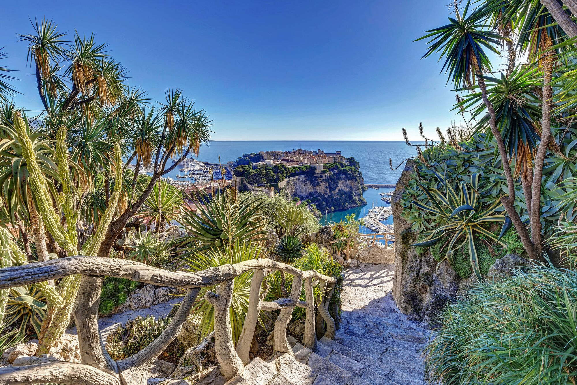 Le Jardin Exotique © VisitMonaco